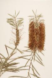 © Landcare Research 